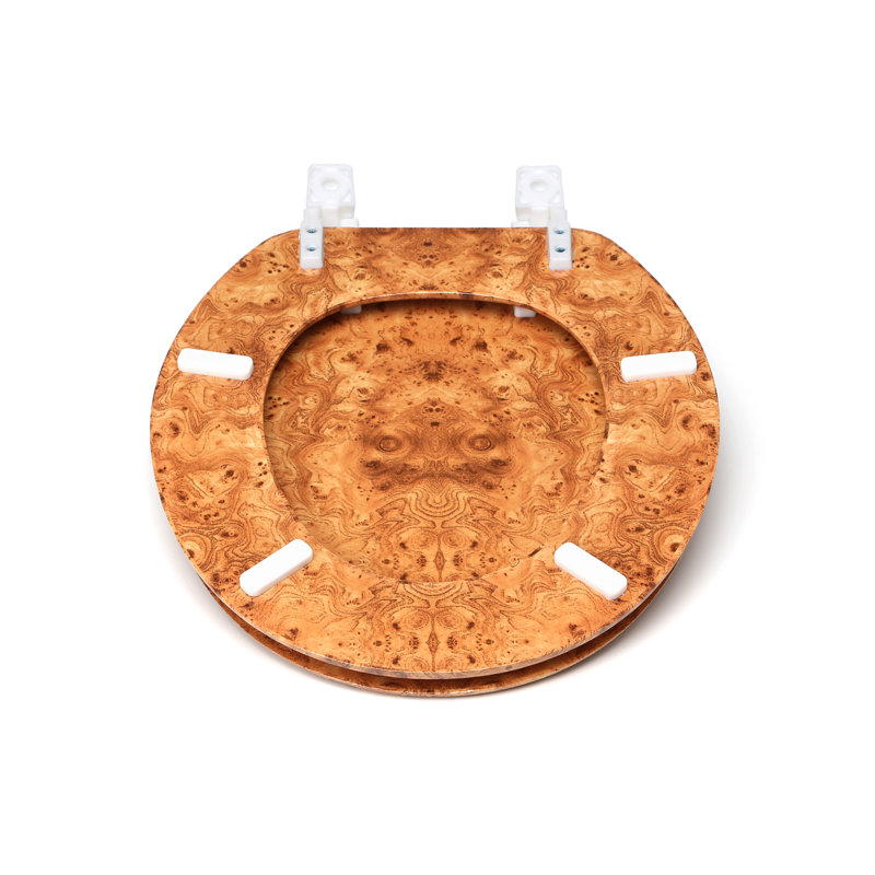 Trimmer Round Toilet Seat and Lid & Reviews Wayfair Canada